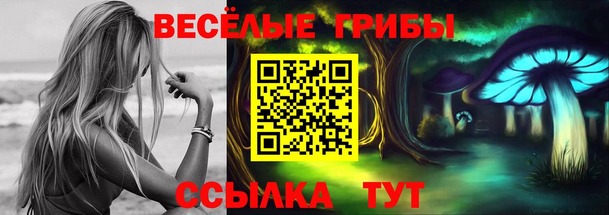 Галлюциногенные грибы мухоморы  Вход с VPN  Северобайкальск 